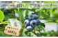 長野県松川町産！ブルーベリー