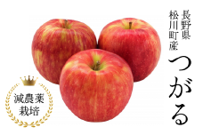 YN06-25A りんご つがる 約5kg 減農薬栽培 秀品／2025年8月下旬～9月上旬頃 配送予定 // りんご リンゴ 林檎 つがる 減農薬栽培 農家直送 農家支援 長野県 松川町 南信州