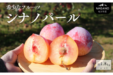 KP03-25A 高級プラム シナノパール 約1.8kg（6～9玉）贈答 / 2025年9月中旬頃〜発送予定 // 長野県 南信州 松川町産 プラム すもも スモモ 高級フルーツ 希少 産地直送 農家直送 新鮮 数量限定 2kg