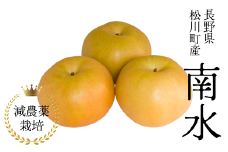 YN09-25A 梨 南水 約5kg 減農薬栽培 秀品 ／2025年9月中旬～10月上旬頃配送予定 // 長野県 南信州 松川町 安心 安全 減農薬栽培 贈答 梨 南水 なんすい なし ナシ