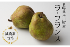 YN10-25A 洋梨 ラ・フランス 約3kg 減農薬栽培 秀品／2025年10月中旬～11月上旬頃配送予定 // 洋ナシ 洋なし ラフランス 減農薬栽培 農家直送 農家支援 長野県 松川町 南信州