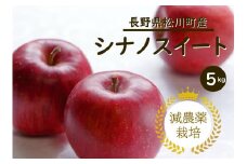 YN12-25A りんご シナノスイート 約5kg 減農薬栽培 秀品／2025年10月上旬～下旬頃 配送予定 // りんご リンゴ 林檎 シナノスイート 減農薬栽培 農家直送 農家支援 長野県 松川町 南信州