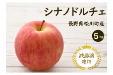 YN13-25A りんご シナノドルチェ 約5kg 減農薬栽培 秀品／2025年9月中旬頃から配送予定 // りんご リンゴ 林檎 シナノ ドルチェ 減農薬栽培 農家直送 農家支援 長野県 松川町 南信州