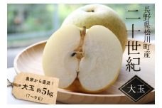 KW05-25A 梨 二十世紀【大玉】  約5kg（7～9玉） 松川町産 贈答 / 9月中旬頃～配送 // 長野県 南信州 松川町 和梨 梨 なし ナシ 20世紀 約5㎏ 産地直送 農家直送 農家支援 贈答 二十世紀 大玉 果物 フルーツ