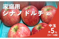 KR07-25A りんご シナノドルチェ 家庭用【中玉】 約5kg（14～18玉） / 9月中旬頃～配送予定 // 長野県 南信州 松川町 リンゴ 林檎 訳あり 自家用 農家直送 農家支援 産地直送