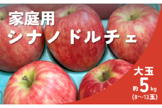 KR06-25A りんご シナノドルチェ 家庭用【大玉】 約5㎏（8～13玉） / 9月中旬頃～配送予定 // 長野県 南信州 松川町 リンゴ 林檎 大玉りんご 訳あり 自家用 農家直送 農家支援 産地直送