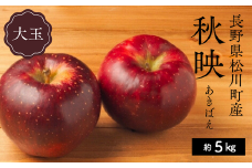 KR08-25A りんご 秋映 贈答【大玉】 約5kg（8～13玉）  / 10月上旬頃～配送予定 // 長野県 南信州 松川町産 ギフト リンゴ 林檎 あきばえ 農家直送 農家支援 産地直送