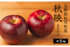 KR09-25A りんご 秋映 贈答【中玉】 約5kg（14～16玉）/ 10月上旬頃～配送予定 // 長野県 南信州 松川町産 ギフト リンゴ 林檎 あきばえ 農家直送 農家支援 産地直送