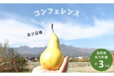 KL08-25A 洋梨 コンフェレンス 約3kg（8～12玉）贈答 / 2025年9月下旬頃から配送予定 // 長野県 南信州 松川町産 洋なし 洋ナシ 洋梨世界会議 希少品種 農家直送 産地直送 贈答 果物 フルーツ