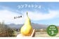 松川町産の希少な洋梨！