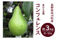 果皮が緑色の状態でお届けします。果皮が緑色から きみどり色 になれば食べごろです。