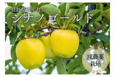YN16-25A りんご シナノゴールド 約5kg 減農薬栽培 秀品／10月下旬頃から配送予定//長野県 南信州 松川町 安心 安全 減農薬栽培 贈答 りんご リンゴ シナノゴールド 黄色りんご