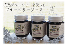 KB04-25D 松川町産 ブルーベリーソース ／ 200g×3個 // 長野県 南信州 国産 無添加 フルーツソース ジャム 農家直送