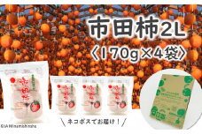 JA38-25A 市田柿 （大粒2Lサイズ） 約170g × 4袋 / 2026年1月中旬〜2月上旬頃 配送予定 // 長野県 南信州 干し柿 干柿 大粒 2Lサイズ ドライフルーツ 贈答 高糖度 高品質