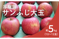 KR20-25A りんご サンふじ 家庭用【大玉】 約5kg（10～13玉） / 11月下旬頃～配送予定 // 長野県 南信州 リンゴ 林檎 ふじ さんふじ 訳あり 自家用 農家直送 農家支援 産地直送