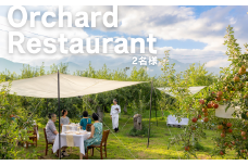 MC03-25H Orchardレストランまつかわ 利用券（2名様分）//長野県 南信州 松川町 ガストロノミー りんごの木のオーナー 食事 フレンチ ランチ ディナー 野外体験 屋外レストラン 女子旅 デート ペアチケット