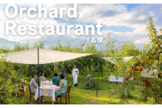 MC02-25H Orchardレストランまつかわ 利用券（1名様分）// 長野県 南信州 松川町 ガストロノミー りんごの木のオーナー 食事 フレンチ ランチ ディナー 野外体験  屋外レストラン 女子旅