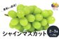 甘くパリッとした歯ごたえで、美しいマスカット色が目にもおいしい！