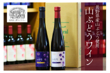 MW12-25F 山葡萄ワイン2種セット（500ml×2本）// 長野県 南信州 山ぶどう 山葡萄 贈答 ギフト 稀少 甘口ワイン 辛口ワイン