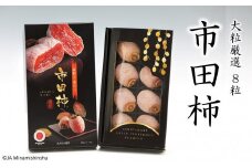 JA40-25A 市田柿 化粧箱 大粒厳選8粒（最高サイズ 3L） / 2026年1月中旬〜2月上旬頃 配送予定 // 長野県 南信州 大粒 特大 厳選 3Lサイズ 干し柿 干柿 高糖度 高品質 高級 ドライフルーツ