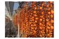 柿すだれ（毎年10月下旬～11月中旬には、このような光景が広範囲に亘って見られます。）