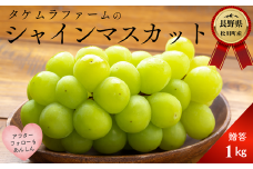 TK09-25A ぶどう シャインマスカット 約1kg／2025年9月上旬～10月初旬 配送予定 // 長野県 松川町産 南信州 葡萄 ブドウ 種なし 高品質 2～3房 高糖度 高地栽培 シャインマスカット 1kg