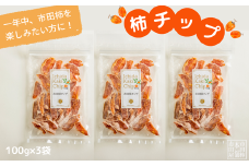 TS06-25A 市田柿 柿チップ（約100g×3袋）// 長野県 南信州 干し柿 市田柿  ドライフルーツ 健康 ひとくちサイズ チップ