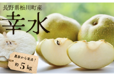 KW08-25A 梨 幸水 約5kg（9～14玉） 松川町産 贈答 / 2025年8月下旬頃発送予定 // 長野県 南信州 松川町 和梨 梨 なし ナシ 産地直送 農家直送 農家支援 贈答 幸水 果物 フルーツ