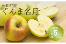 KR14-25A りんご ぐんま名月 贈答 約5kg（10～16玉） / 11月上旬頃～配送予定 // 長野県 南信州 リンゴ 林檎 ギフト 名月 農家直送 農家支援 産地直送