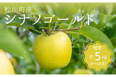 KR12-25A りんご シナノゴールド 贈答 約5kg（8～16玉） / 10月下旬頃～配送予定 // 長野県 南信州 ギフト リンゴ 林檎 黄色りんご 農家直送 農家支援 産地直送