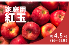 KR11-25A りんご 紅玉 家庭用 約4.5kg（16～25玉） / 9月下旬頃～配送予定 // 長野県 南信州 松川町産 リンゴ 林檎 訳あり 自家用 こうぎょく 農家直送 農家支援 産地直送