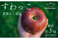 KR04-25A りんご すわっこ 贈答 約3kg（6～10玉） / 9月上旬頃～配送予定 // 長野県 南信州 松川町産 リンゴ 林檎 すわっこ 希少品種 ギフト 早生りんご 農家直送 農家支援 産地直送