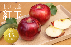 KR10-25A りんご 紅玉 贈答 約4.5kg（16～22玉） / 9月下旬頃～配送予定 // 長野県 南信州 松川町産 ギフトリンゴ 林檎 こうぎょく 農家直送 農家支援 産地直送