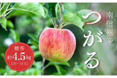 KR03-25A りんご つがる 贈答 約4.5kg（10～16玉） / 8月下旬頃～配送予定 // 長野県 南信州 松川町産 ギフト リンゴ 林檎 早生りんご 農家直送 農家支援 産地直送 約5kg
