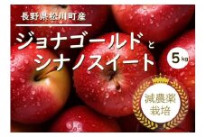 YN17-25A りんご ジョナゴールド＋シナノスイート 詰合せ 約5kg 減農薬栽培 秀品／2025年10月上旬～下旬頃 配送予定 // りんご リンゴ 林檎 ジョナ ゴールド シナノスイート 減農薬栽培 農家直送 長野県 南信州 松川町産 詰め合わせ 食べ比べ 