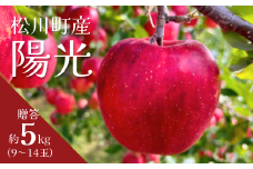 KR21-25A りんご 陽光 贈答 約5kg（9〜14玉） / 10月中旬頃～配送予定 // 長野県 南信州 ギフト リンゴ 林檎 農家直送 農家支援 産地直送