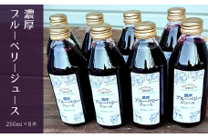 KB07-25D 濃厚ブルーベリージュース（250ml×8本） 
