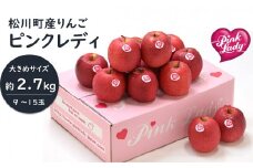 PL06-24A ピンクレディー®希少なりんご 約2.7kg（大きめサイズ）／2025年1月中旬から発送//長野県 南信州 松川町 りんご 希少品種 珍しい ライセンス リンゴ プレゼント 贈り物 ピンクレディー 恋人