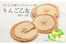 MZ06-25D りんご乙女 16枚×2箱 // 長野県 南信州 りんごのお菓子 薄焼きクッキー りんごせんべい フードロス 食品ロス 銘菓 お土産 ギフト 優秀味覚賞