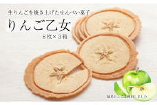 MZ05-25D りんご乙女 8枚×3箱 // 長野県 南信州 りんごのお菓子 薄焼きクッキー りんごせんべい フードロス 食品ロス 銘菓 お土産 ギフト 優秀味覚賞