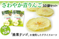 MZ02-25D 【ドライりんご】さわやか青りんご 30g×10袋 // 長野県 南信州 ドライフルーツ フードロス 食品ロス 自然のおやつ りんごのお菓子 お土産 青りんご