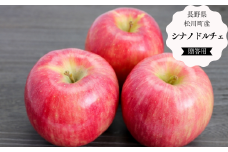 KR23-25A りんご シナノドルチェ 贈答 約3kg（6～10玉） / 9月中旬頃〜発送予定 // 長野県 南信州 松川町産 ギフト りんご リンゴ 林檎 シナノドルチェ 農家直送 農家支援 贈答 果物 フルーツ