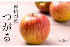 KR22-25A りんご つがる 贈答 約3kg（6～10玉） / 8月下旬頃～配送予定 // 南信州産 長野県  松川町産 ギフト 早生りんご りんご リンゴ 林檎 農家直送 農家支援 贈答 果物 フルーツ