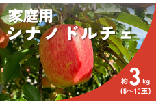 KR24-25A りんご シナノドルチェ 家庭用 約3㎏（5～10玉） / 9月中旬頃〜発送 // 南信州産 長野県  松川町 リンゴ 林檎 農家直送 農家支援 訳あり 自家用 果物 フルーツ