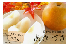 KW11-25A 梨 あきづき 約5kg（8～14玉）松川町産 贈答 ／9月下旬頃～配送予定 // 長野県 南信州 松川町 和梨 梨 なし ナシ 約5㎏ あきづき 産地直送 農家直送 農家支援 贈答 果物 フルーツ