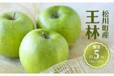 KR33-25A りんご 王林 贈答 約5kg（10～18玉） / 11月上旬頃～配送予定 // 長野県 南信州 リンゴ 林檎 ギフト おうりん 黄緑色りんご 農家直送 農家支援 産地直送