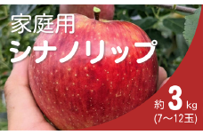 KR27-25A りんご シナノリップ 家庭用 約3㎏（7〜12玉） /  8月下旬頃～配送 // 長野県 南信州 松川町産 自家用 訳あり リンゴ 林檎 早生りんご  農家直送 農家支援 産地直送