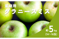 KR36-25A りんご グラニースミス 家庭用 約5kg（14～18玉） / 11月下旬頃～配送予定 // 長野県 南信州 リンゴ 林檎 青りんご 訳あり 自家用 農家直送 農家支援 産地直送