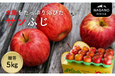 MZ10-25A 南信州産 サンふじりんご 約5㎏ 贈答用 / 2025年12月中旬頃～配送予定 // 長野県 南信州 さんふじ サンフジ ふじりんご 贈答 リンゴ 林檎