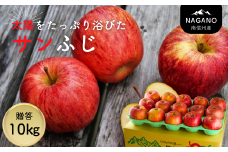 MZ11-25A 南信州産 サンふじりんご 約10㎏ 贈答用 / 2025年12月中旬頃～配送予定 // 長野県 南信州 さんふじ サンフジ ふじりんご 贈答 リンゴ 林檎